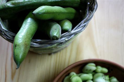 Ever wondered what fave means? Fave fresche stufate alla menta - The Puglia Immobiliare