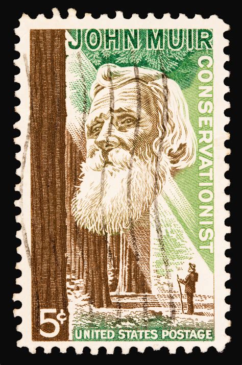A little about the cabin. John Muir's Birthday | Scenic Wonders Yosemite Cabins ...