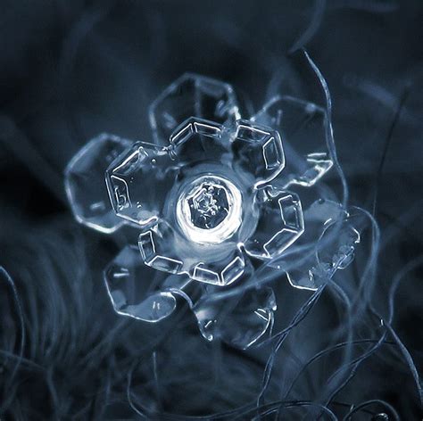 Amazing Close Up Photos Of Snowflakes Will Give You Goosebumps Close