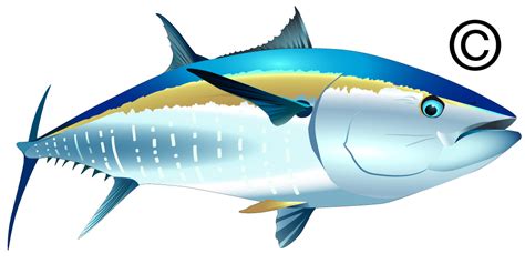 Tuna Fish Cartoon Clipart Best