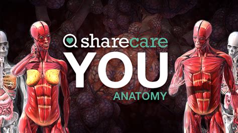 Sharecare You Anatomy On Sidequest Oculus Quest Games And Apps