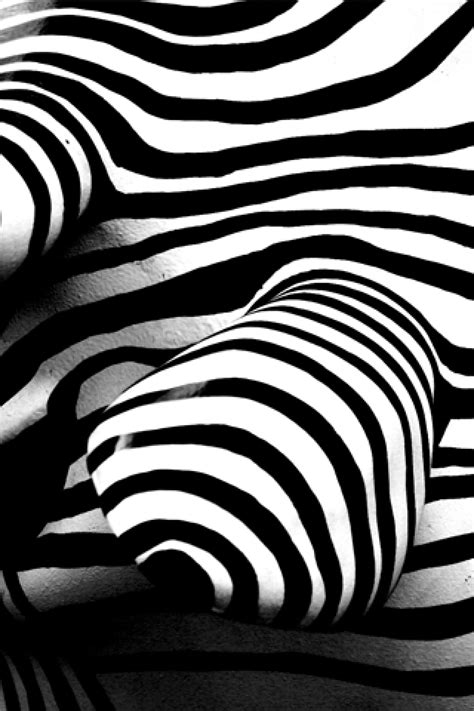 48 zebra iphone wallpapers images in full hd, 2k and 4k sizes. Zebra iPhone Wallpapers (51 Wallpapers) - Wallpapers For ...