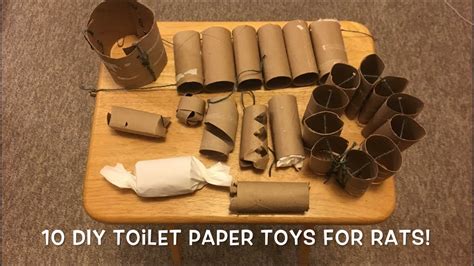 10 Awesome Diy Rat Toys To Make With Toilet Paper Rolls Youtube