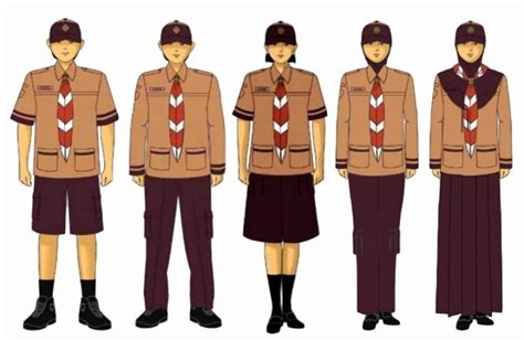 Baju Pramuka Lengkap Smp - Seragam Pramuka Putri Putri Pramuka