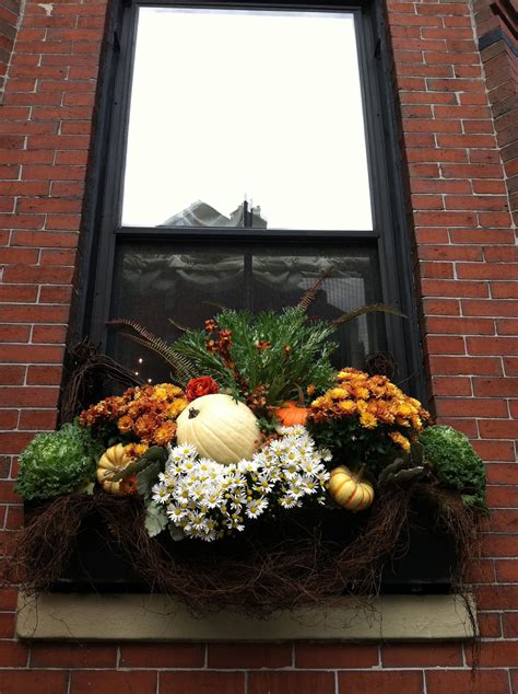 Pin By Amber Kulak On Boston Window Boxs My New Obsession Fall