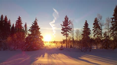 Free Images Tree Forest Mountain Snow Winter Sunrise Sunset