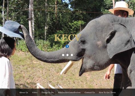 5,898 likes · 94 talking about this · 4,010 were here. Kenyir Elephant Conservation Village | Malaysia Website ...