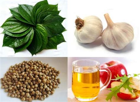 OBAT ALAMI UNTUK MENGATASI KEPUTIHAN GATAL DIJUAL DI APOTIK