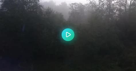 Misty Forest Album On Imgur