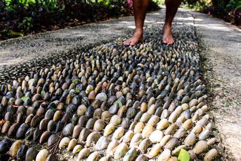 Kakgie rempah ratus menjual pelbagai jenis rempah. Pelajari Sejarah Berbagai Jenis Rempah Ratus di Tropical ...