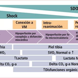 Guías para el tratamiento de choque séptico. (PDF) Manejo del paciente en shock séptico