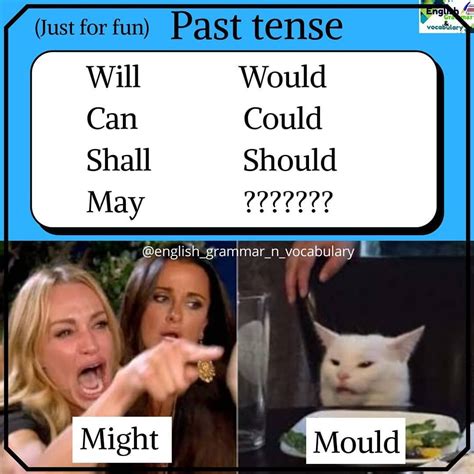 English Grammar N Vocabulary On Instagram “meme Just For