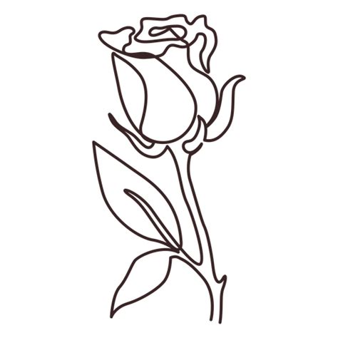 Trazo De Dibujo Lineal De Planta De Rosa Descargar Png Svg Transparente