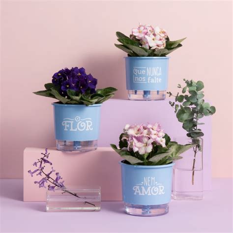 Kit 3 Vasos Autoirrigáveis Pequenos 12 Cm X 11 Cm Flor E Amor Azul Serenity Vasos Raiz Loja Plantei