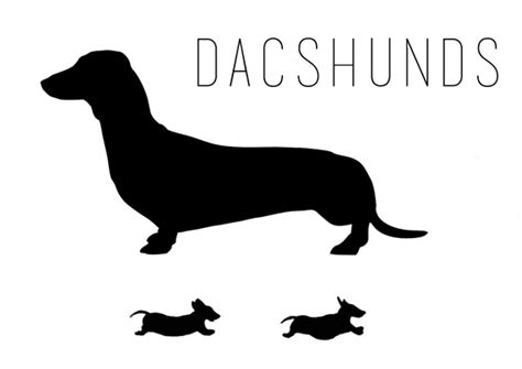 Download dachshund silhouettes, tattoos, vector. | Dachshund ...
