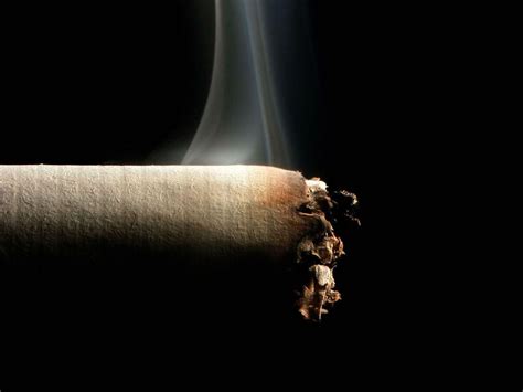 Tobacco Wallpapers Wallpaper Cave