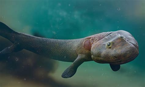 Discover 6 Incredible Devonian Period Animals A Z Animals