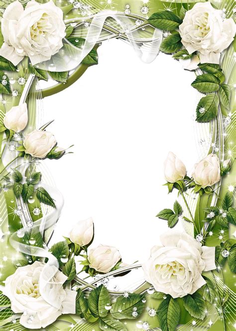 Forgetmenot White Roses Frames