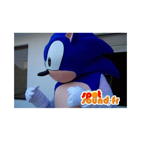 Purchase Adult Costume Mascot Character Sonic In Mascots Famous