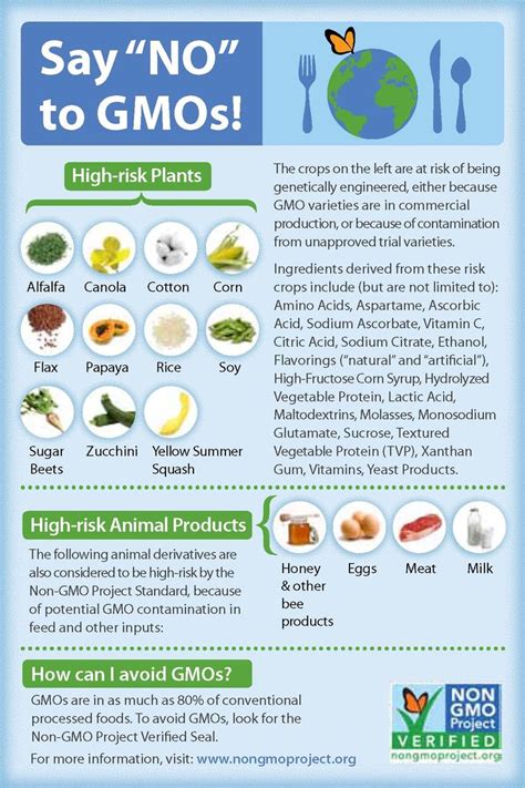 What Are Gmos And Why Do Consumers Care 7 Inforgraphics Explain