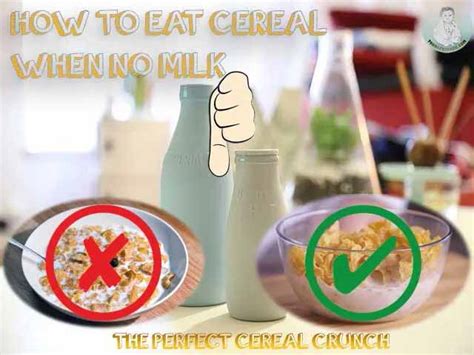 What Cereal Can You Eat Without Milk 2022 Qaqookingwiki