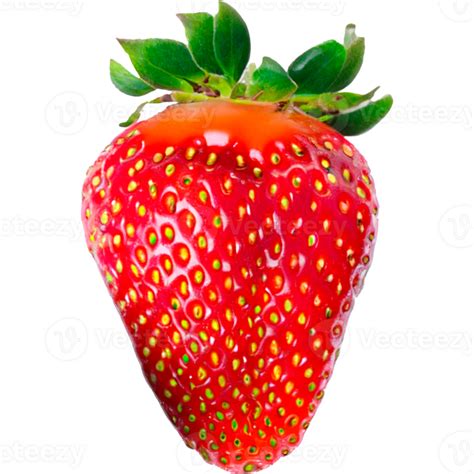 Juicy Red Strawberry Isolated Image Without Background 27140251 Png