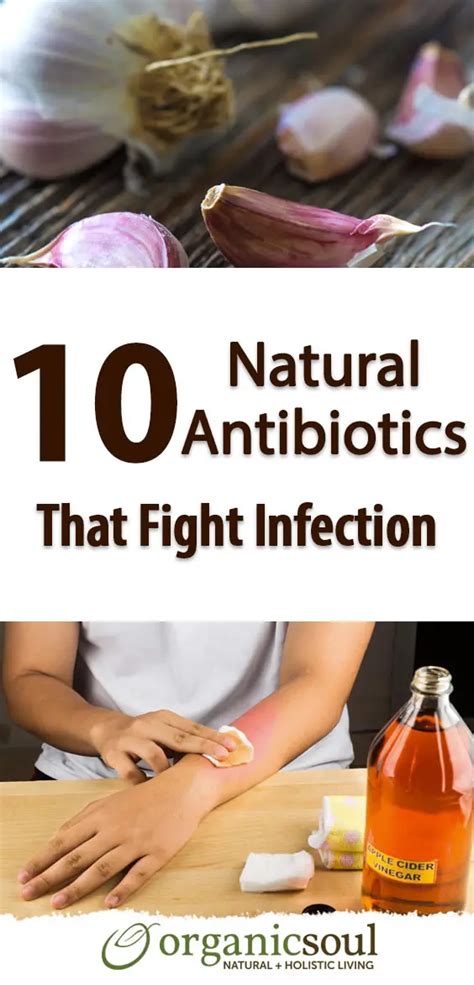 10 Natural Antibiotics That Fight Infection