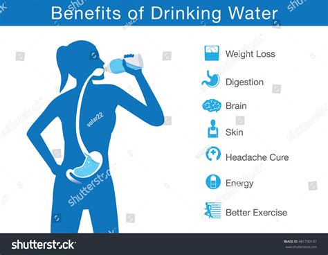 Silhouette Body Woman Drinking Water Bottle Stock Vector Royalty Free