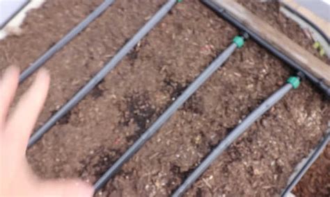 Raised Bed Watering System Must Know Details Epic Gardening