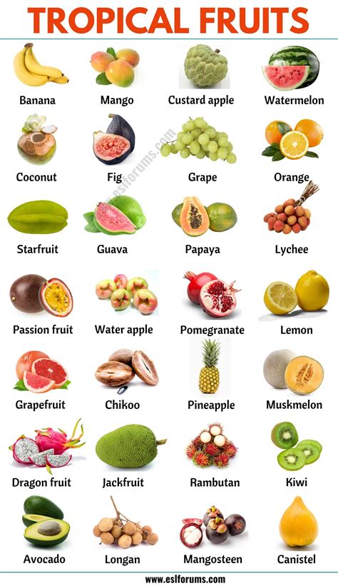 Tropical Fruits: List of 25+ Popular Tropical Fruits in English - ESL ...