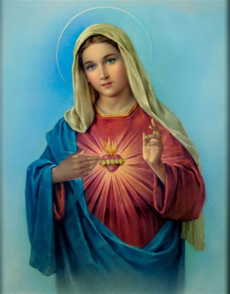 Today we celebrate the solemnity of the most holy trinity. Best 48+ Immaculate Heart of Mary Wallpaper on ...