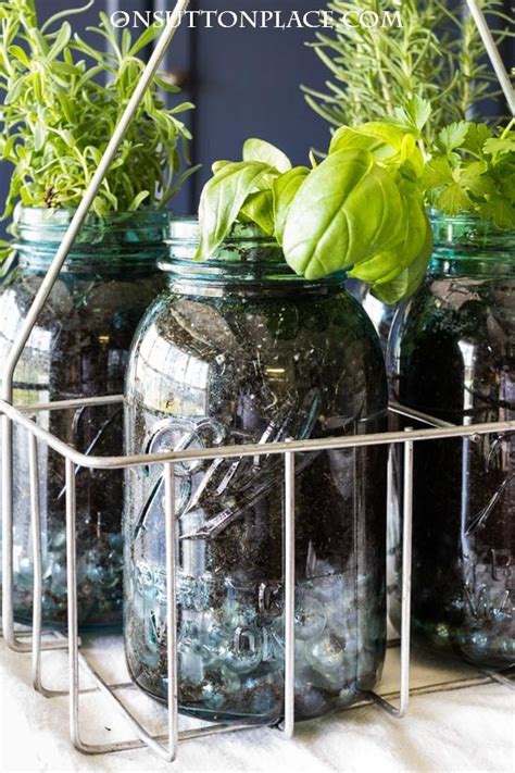 Also, make sure the jars have a wide mouth, which will help the soil breath, not to mention make it easier to add materials inside. Indoor Mason Jar Herb Garden | Mason jar herb garden ...