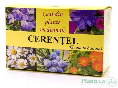 Ceai Cerentel G Hypericum Plant Pret Lei Planteea