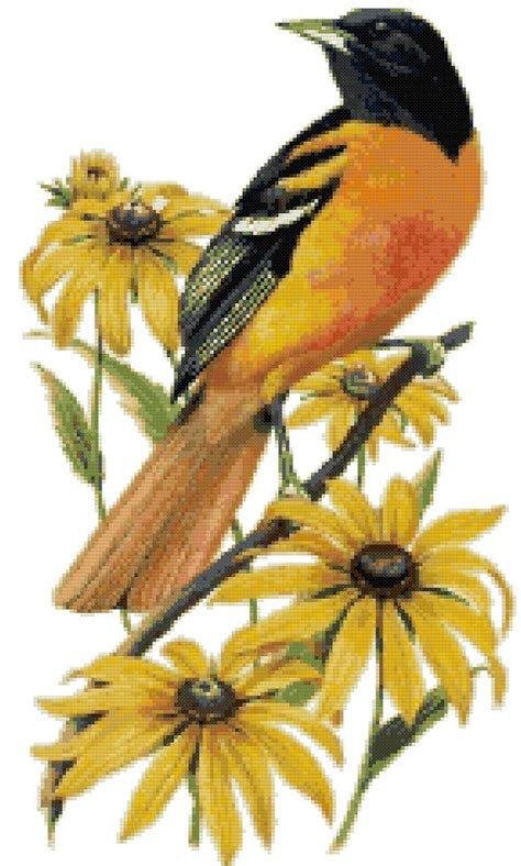 Check spelling or type a new query. Maryland State Bird and Flower Baltimore Oriole and Black ...