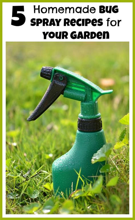 5 Homemade Bug Spray Recipes For Your Garden Gardens
