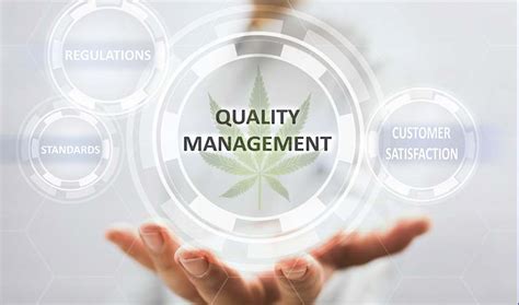A system which lets you define what quality means to your business, unite it under that when developing systems for your qms, the scope is vital in letting anyone and everyone know precisely what is included in it and what isn't. On Screen Medical Cannabis Quality Management System