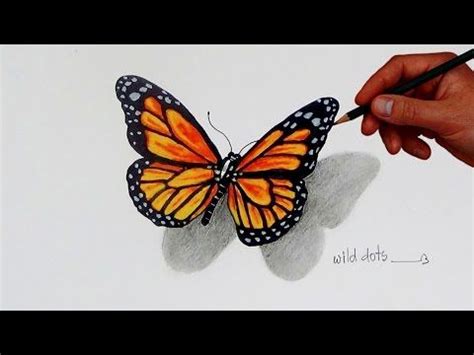 Youtu.be/67jqn_zjio8 this video shows easy pencil drawing and blending | using : How To Draw A Butterfly | Simple And Easy Steps ...