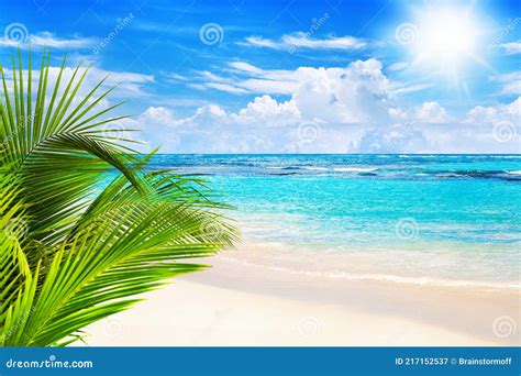 Tropical Island Landscape Exotic Sand Beach Turquoise Sea Water Ocean Waves Green Palm Tree
