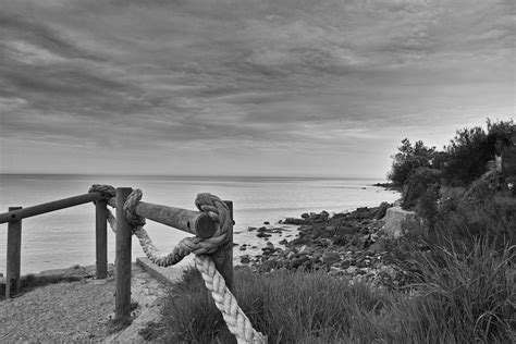 Free Images Beach Landscape Sea Coast Tree Nature Sand Rock