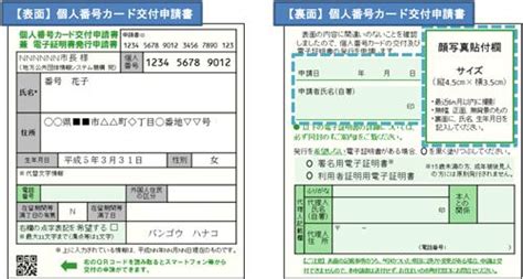 アクション / バイオレンス / バトル / ミステリー / 学園 / 幽霊・妖怪・モンスター. マイナンバーカード 写真 背景の色 - transportkuu.com