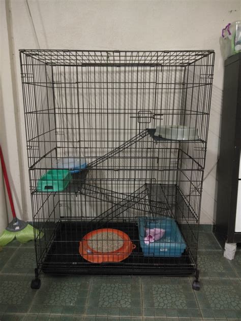 Check spelling or type a new query. Cara Membuat Sangkar Kucing Pvc - Pagar Rumah