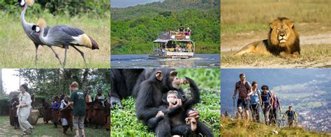Hosting a baby shower for a good friend or family member is one of the kindest things that you can do. Activities in Queen Elizabeth National Park - Uganda