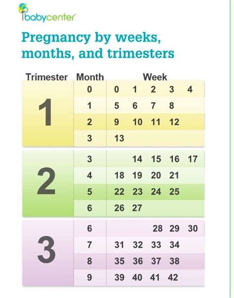 Chart Of Pregnancy Months