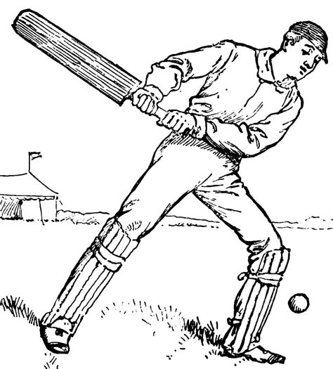 Cricket Player Coloring Page Download Print Or Color Online For Free