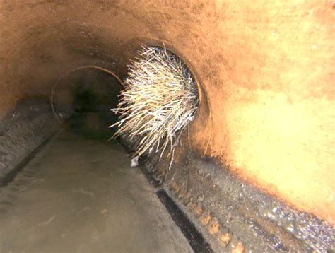 Sewer Blockages South Gippsland Water