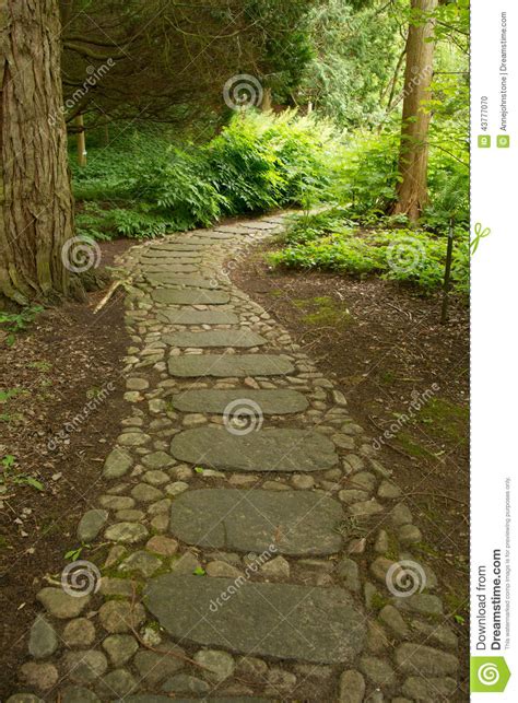 Stone Path Through The Forest Stock Photo Image Of