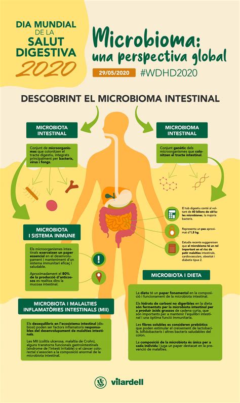 La Microbiota Intestinal Té Un Impacte Decisiu Sobre El Sistema Immune