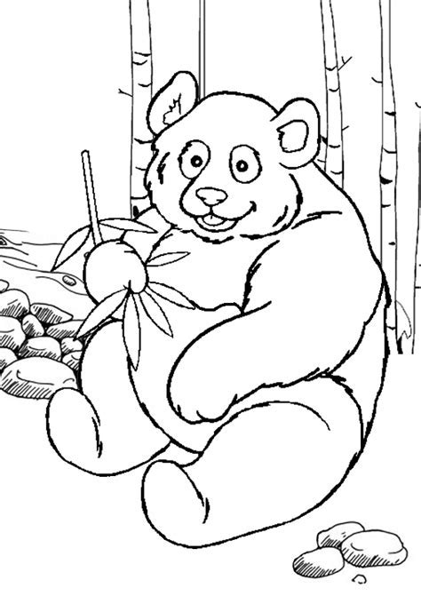 Yoga and meditation coloring book for adults. Panda Coloring Pages - Best Coloring Pages For Kids