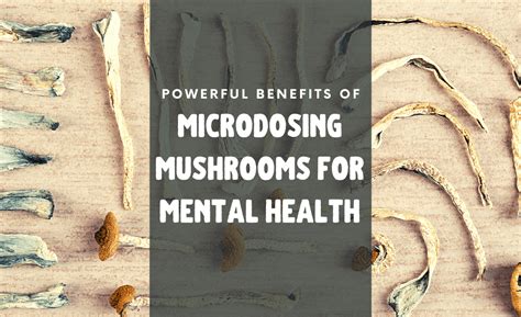 Powerful Benefits Of Microdosing Mushrooms For Mental Health