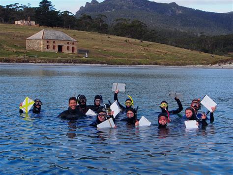 Marine Biology Bachelors Programs Australia Infolearners